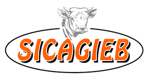 logo-sicagieb