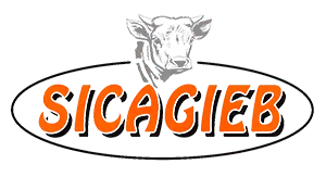 logo-sicagieb