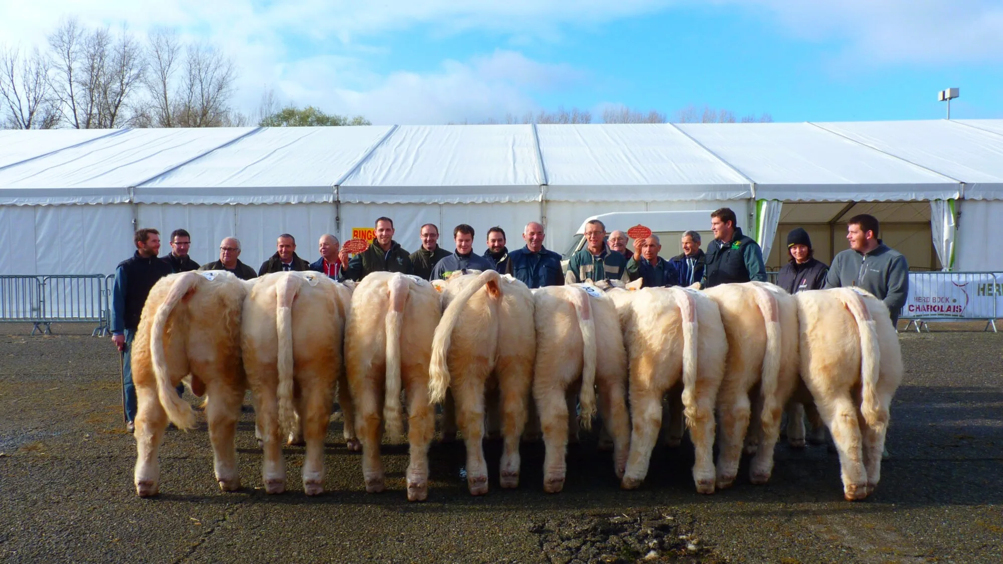 8 fils de Douglas 1er et 3 ème prix d'ensemble veaux mâles Moulins 2015 (étables moins de 101 vaches HBC)