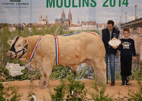 Japon SC Super prix d'honneur veaux d'automne mâles Moulins 2014