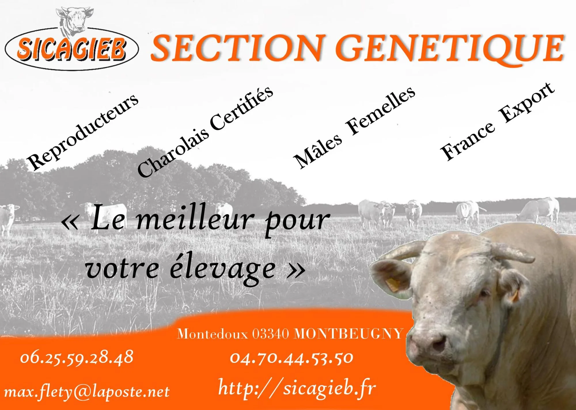 encart-genetique