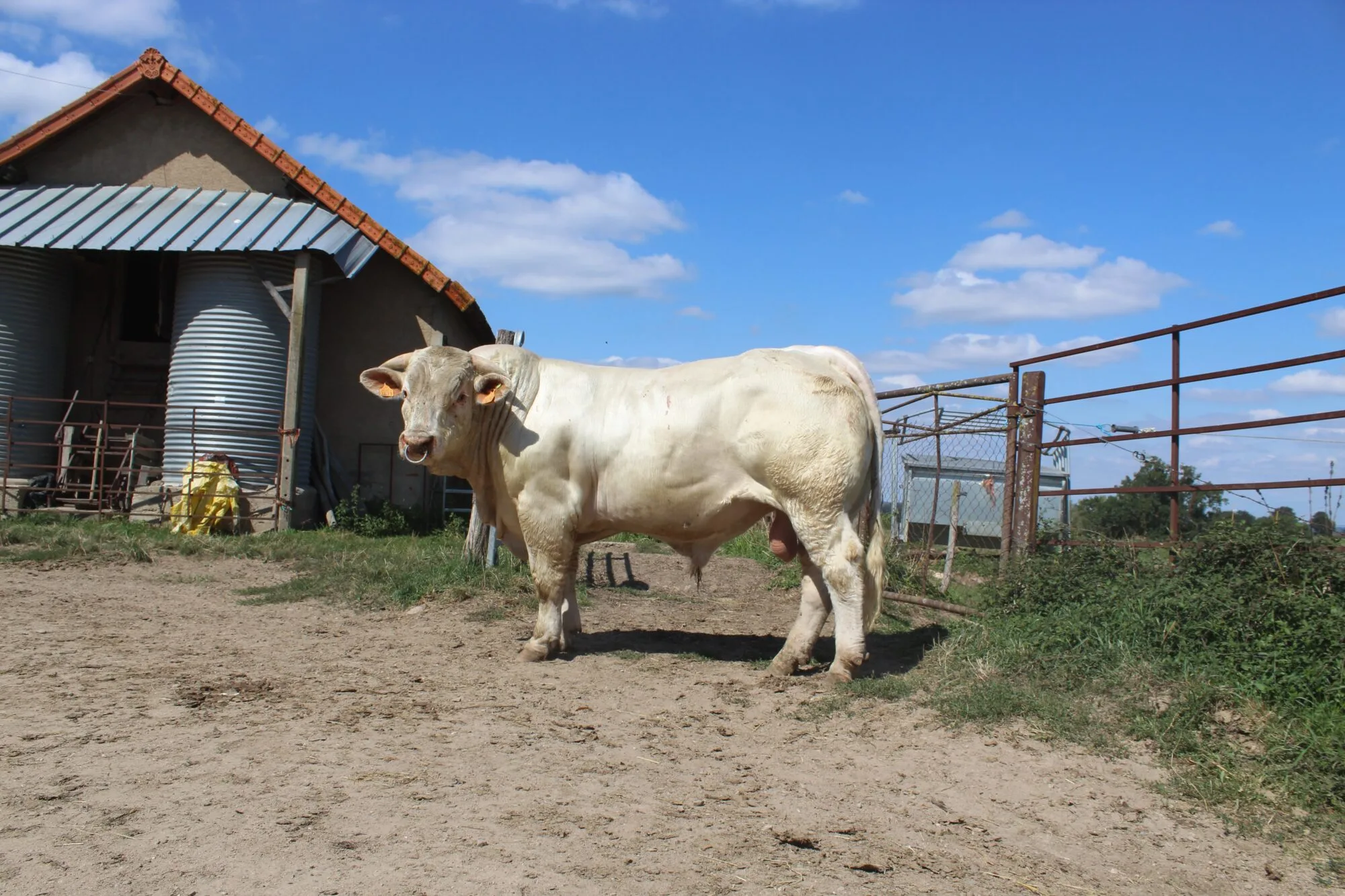 Narquois: vente de Montmarault 2018