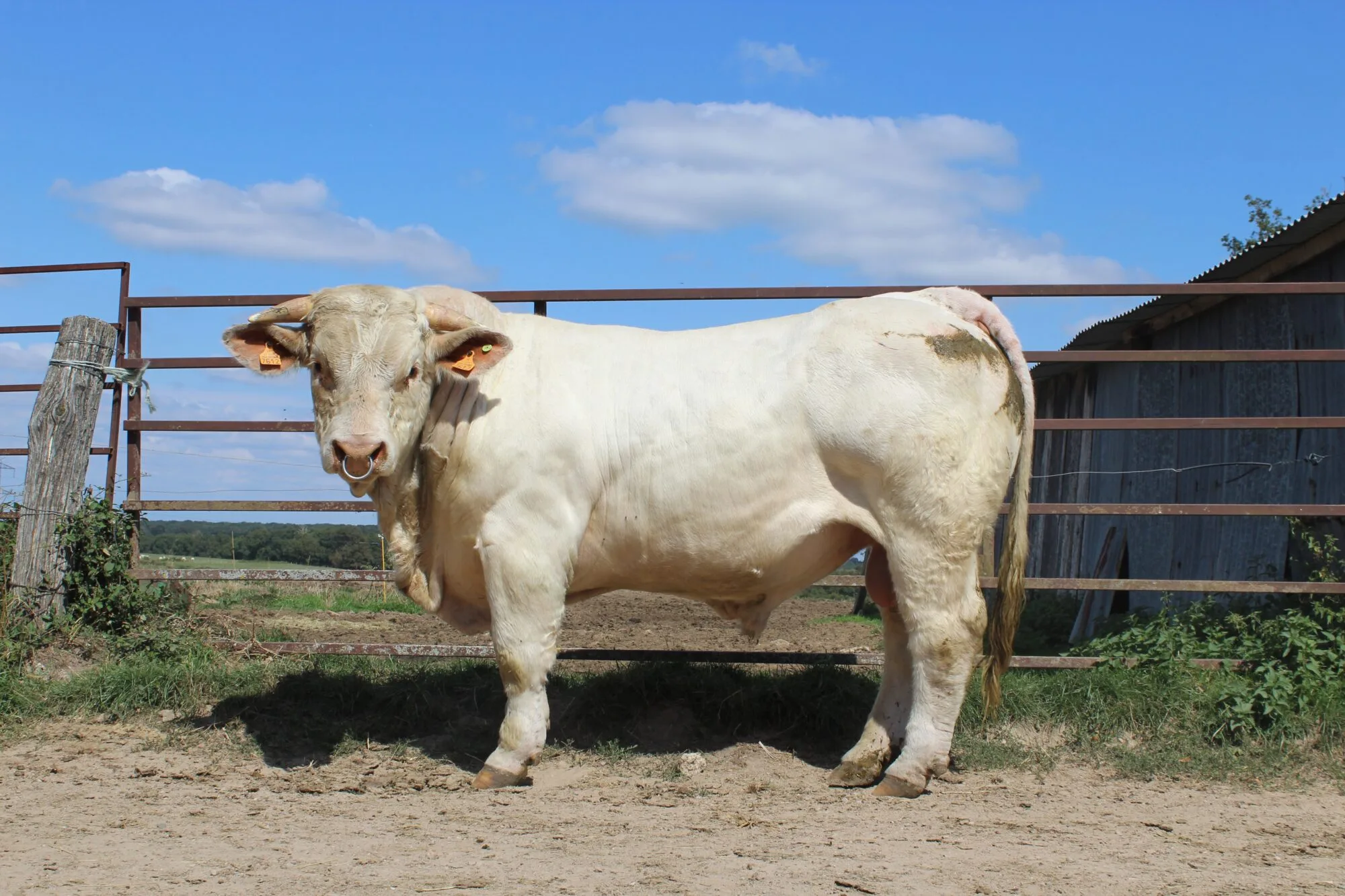 No: vente Montmarault 2018