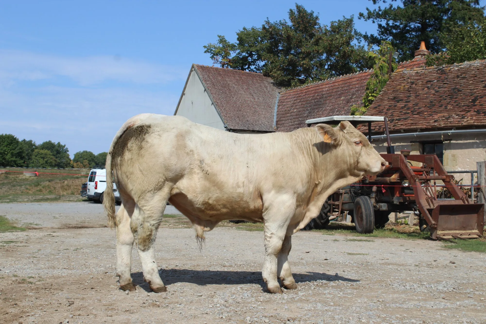 Oursin: vente Montmarault 2018